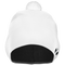 Pulse Merino Cap PP